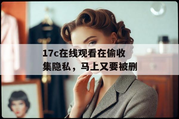 17c在线观看在偷收集隐私，马上又要被删